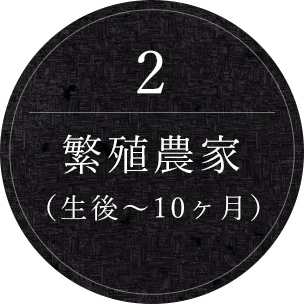 2.繁殖農家（生後～10ヶ月）