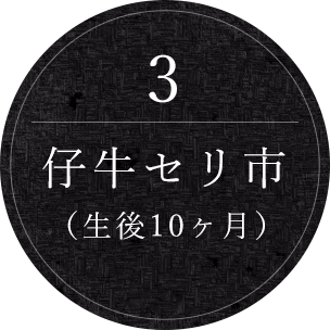 3.仔牛セリ市（生後10ヶ月）