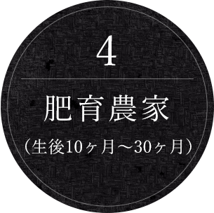 4.肥育農家（生後10ヶ月～30ヶ月）